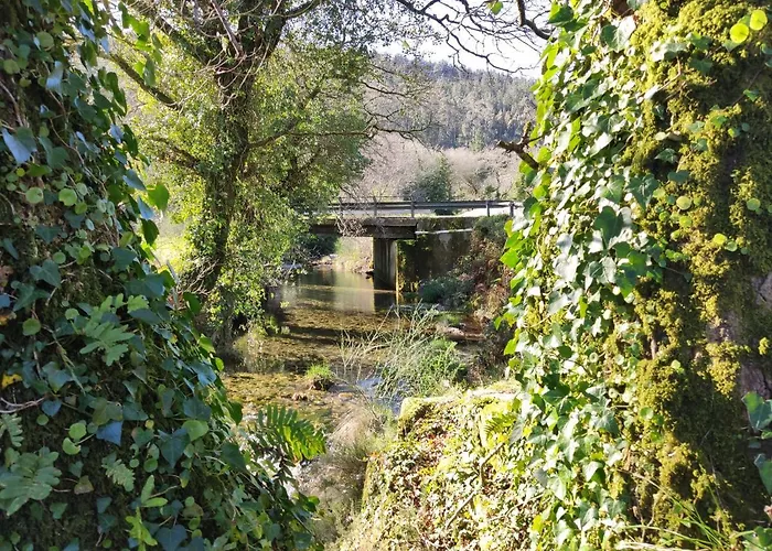 O Logoso Campelo (A Coruna)